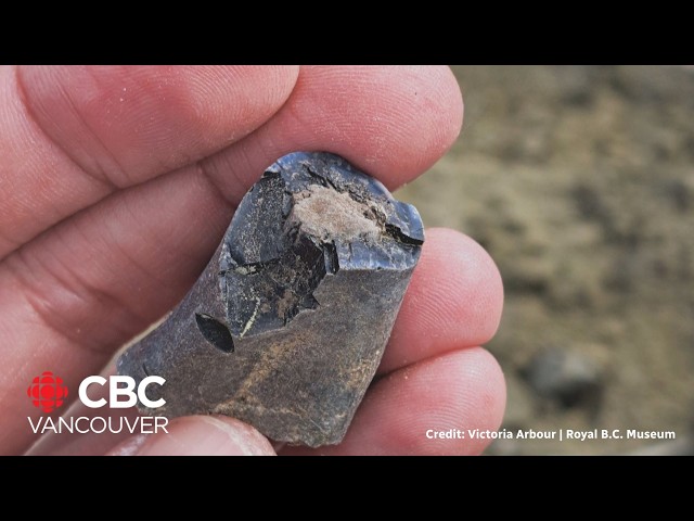 ⁣Dinosaur remains found in remote B.C. mountains