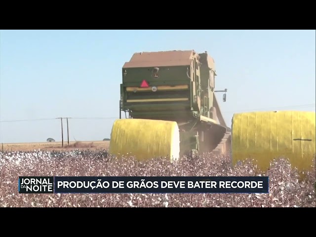 ⁣Produção de grãos deve bater recorde