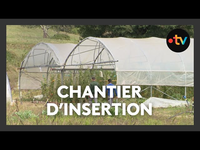 ⁣Chantier d’insertion maraîchage bio à Souffrignac en Charente