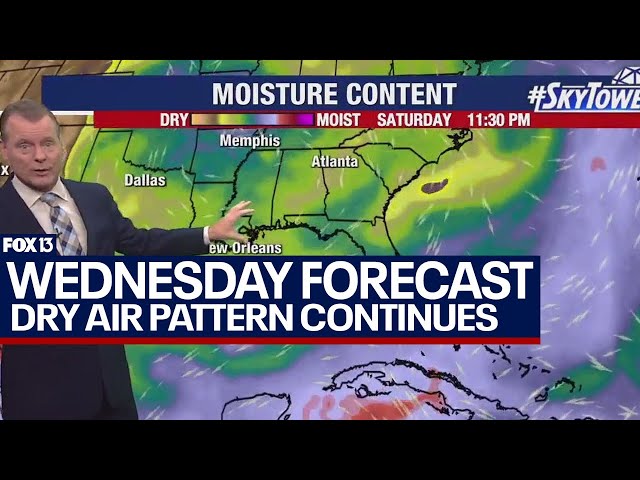 ⁣Tampa weather | dry-air pattern continues