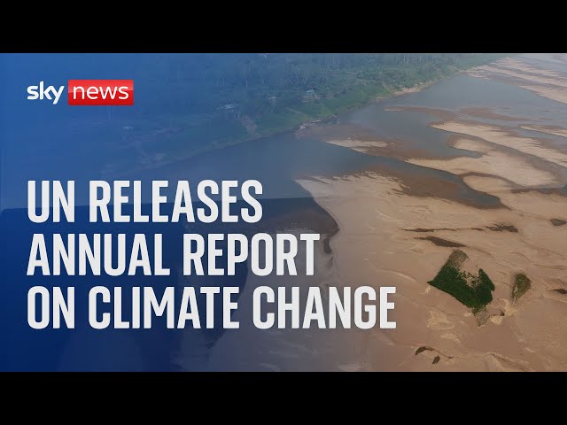 ⁣Watch live: UN releases annual report on climate change