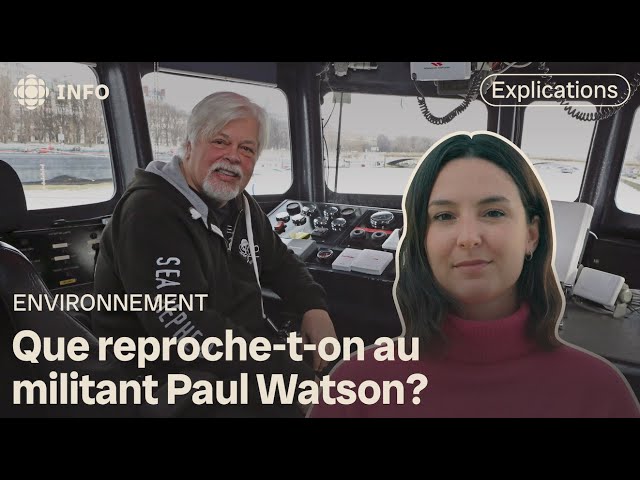 ⁣Affaire Paul Watson : l’arrestation du militant défenseur des baleines expliquée