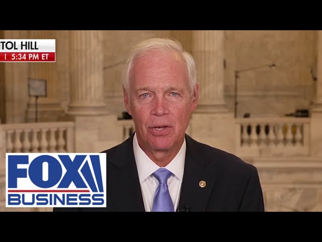 ⁣Sen. Ron Johnson: These gangs almost make ISIS look like choir boys