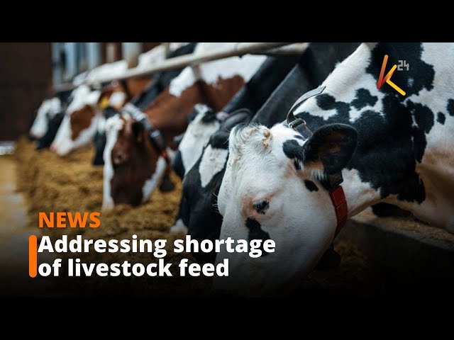 ⁣Ministry of Agriculture moves in to address the acute shortage of livestock feed