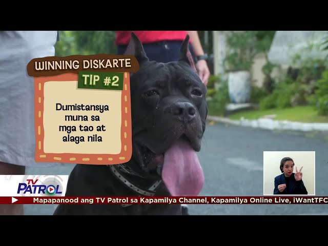 ⁣Winning Moment: Tips kung lalabas kasama ang furbabies