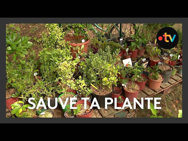 ⁣Association "Sauve ta plante" à Poitiers