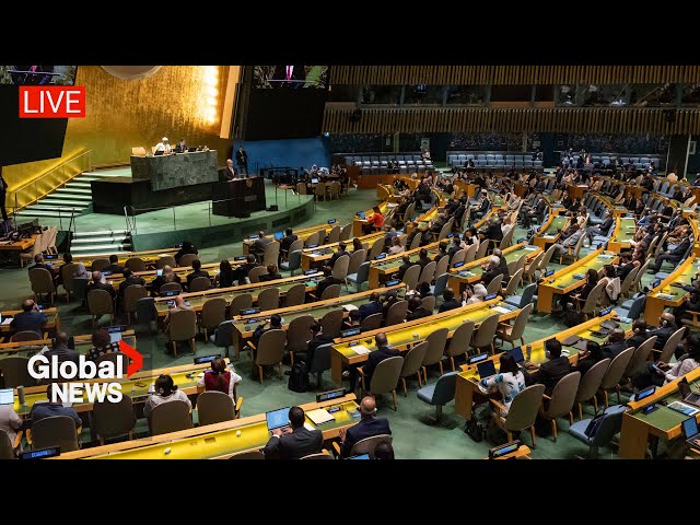 ⁣UNGA votes on draft resolution demanding Israel end "unlawful presence" in Gaza, West Bank