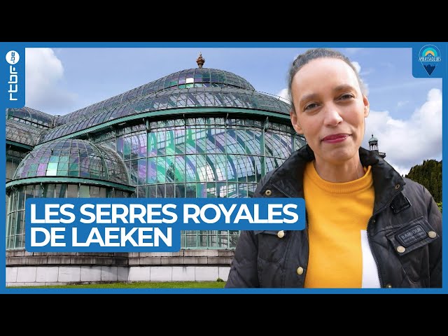 ⁣Les serres royales de Laeken - Les Ambassadeurs