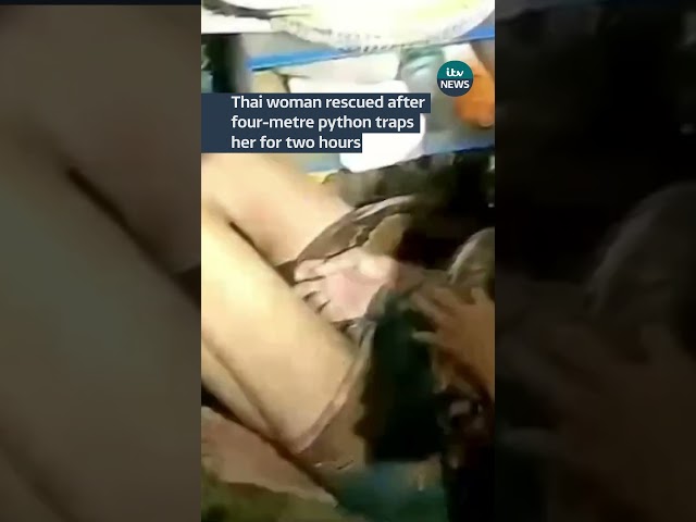 ⁣Thai women was rescued after being trapped by a four-metre python for two hours #itvnews #shorts