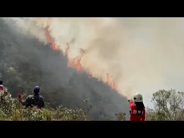 ⁣Peruvian firefighters battle Amazon fires that have killed at least 15