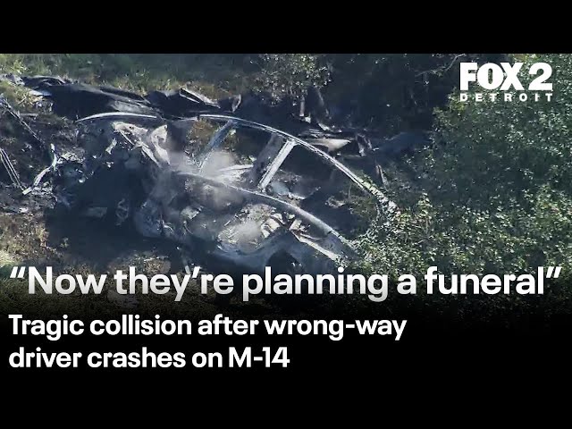 ⁣Wrong-way crash kills 3 on Michigan highway