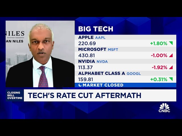 ⁣Soft landing ahead and more 'good' rate cuts coming, predicts Dan Niles