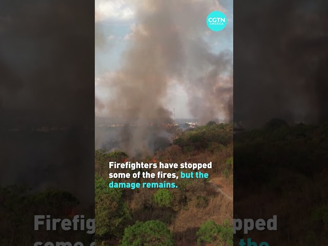 ⁣Wildfires raze forests across Brazil #shorts