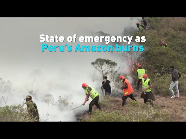 ⁣State of emergency as Peru's Amazon burns