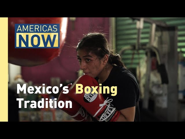 ⁣Mexico's Boxing Legacy