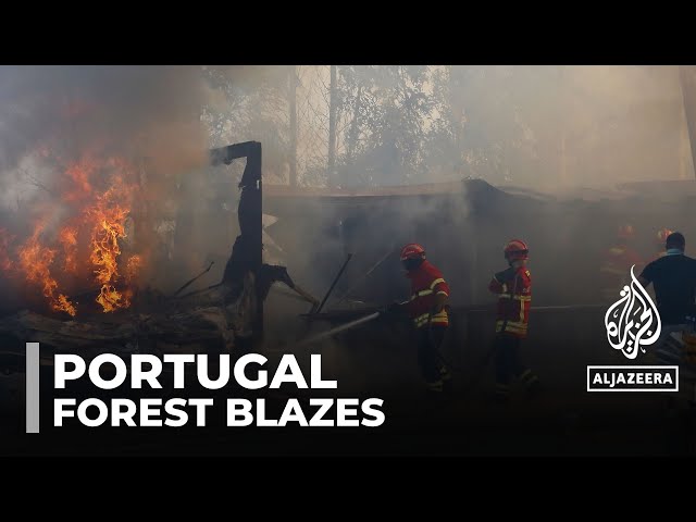 ⁣Three firefighters die as Portugal battles dozens of wildfires