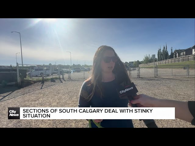 ⁣Sections of south Calgary deal with stinky situation