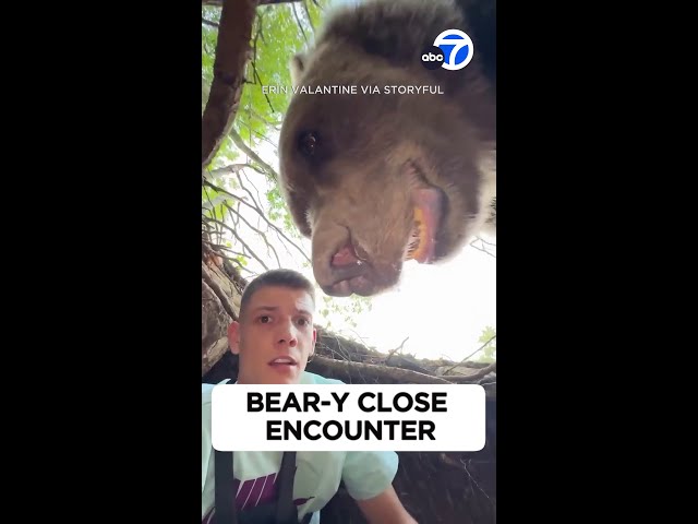 ⁣Bear-y close encounter!