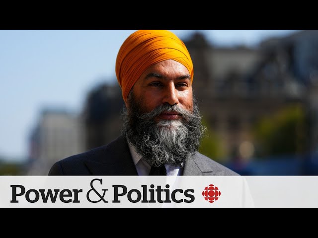 ⁣Will the NDP back the Conservatives’ push to bring down the government? | Power & Politics