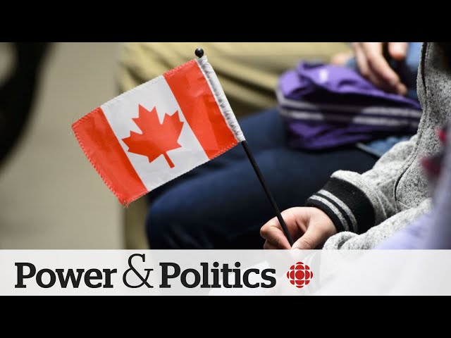 ⁣Canada further reducing the number of international student permits | Power & Politics