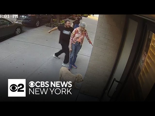 ⁣Disturbing video shows random attack on elderly woman in NYC