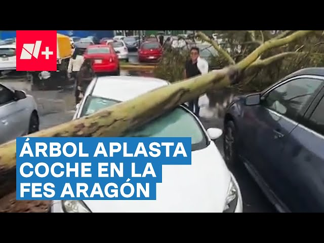 ⁣Árbol aplasta un coche en la FES Aragón - N+