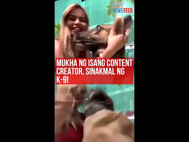 ⁣Mukha ng isang content creator, sinakmal ng K-9! | GMA Integrated Newsfeed