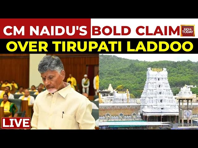 ⁣LIVE: Chandrababu Naidu Claims Use Of Animal Fat In Tirupati Laddoo During YSRCP Regime