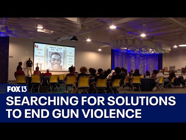 ⁣Search for solutions to end gun violence