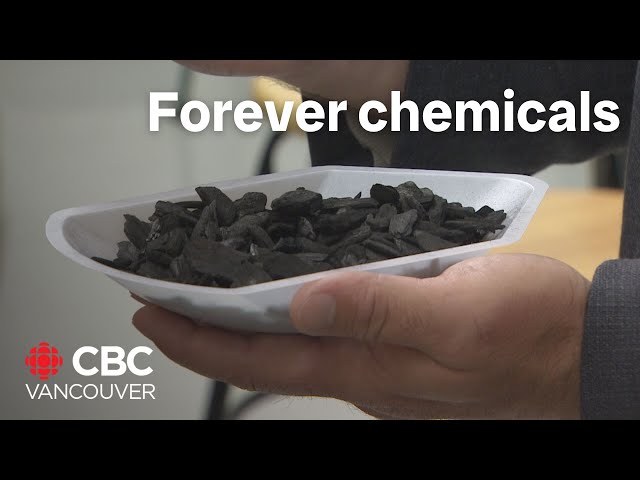 ⁣B.C. researchers may have a solution to get rid of "forever chemicals"