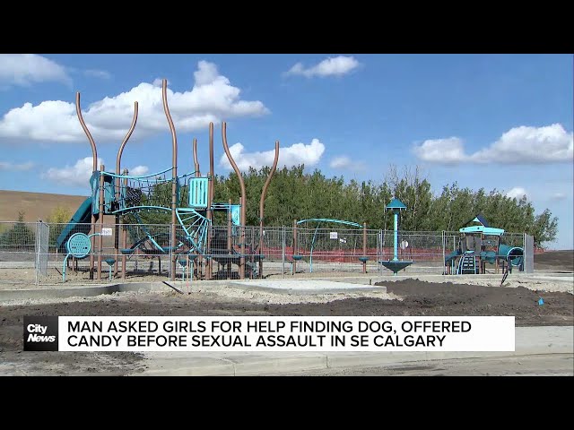 ⁣Man asked girls for help finding dog, offered candy before alleged sexual assault in SE Calgary