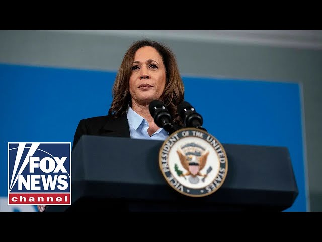 ⁣Major union decides not endorse Kamala Harris in 2024 election