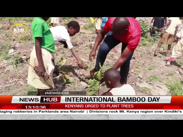 ⁣International Bamboo day: Kenyans urged to plant tress