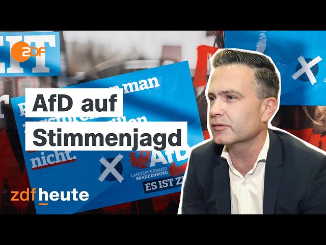 ⁣Wie die AfD in Brandenburg punkten will | Frontal