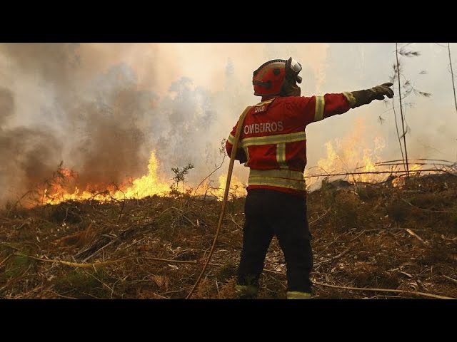 ⁣Waldbrände in Portugal: 4000 Feuerwehrleute kämpfen gegen die Flammen