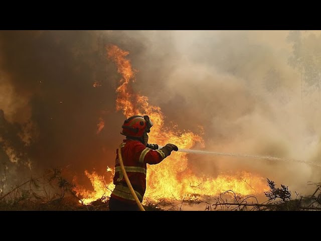 ⁣No Comment : le Portugal déclare l'état de catastrophe naturelle face à la progression des ince