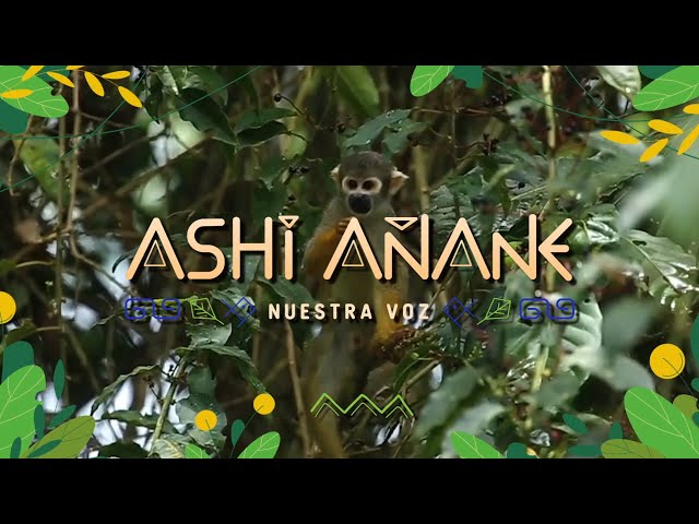 ⁣Ashi Añane (21/09/2024) Promo | TVPerú