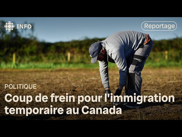 ⁣Travailleurs temporaires : le Canada resserre les critères du programme de traitement simplifié