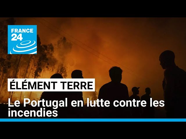 ⁣Le Portugal en lutte contre les feux attisés par le réchauffement climatique • FRANCE 24