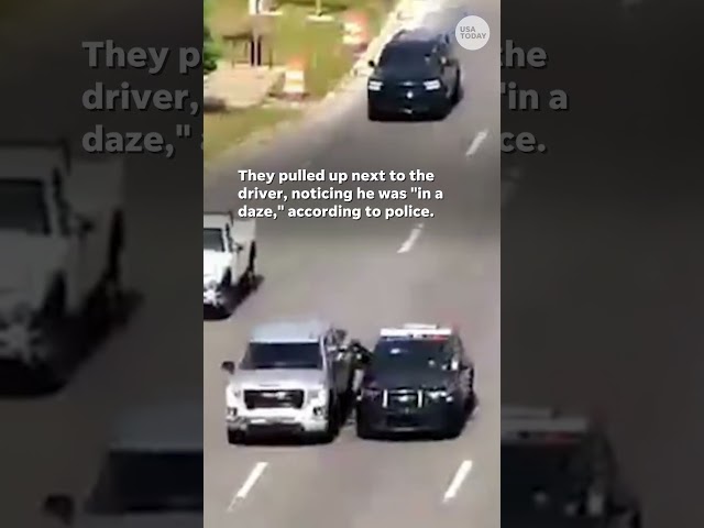 ⁣Video shows brave officer climb into moving truck #Shorts