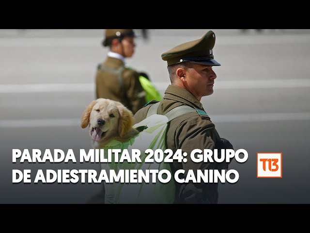 El paso del Grupo De Adiestramiento Canino De Carabineros por la Parada Militar 2024