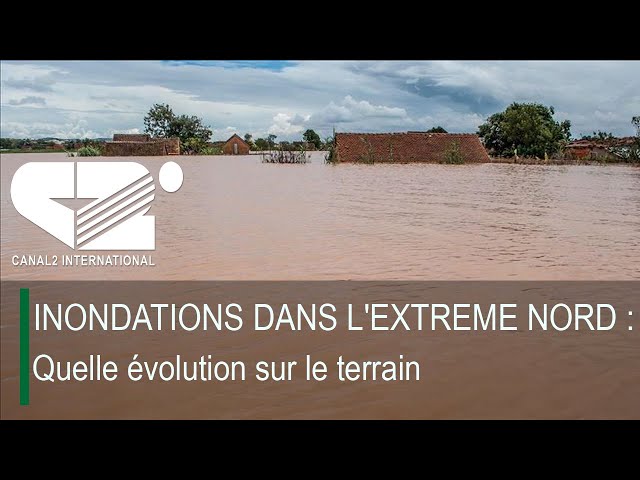 ⁣INONDATIONS DANS L'EXTREME NORD : Quelle évolution sur le terrain? (DEBRIEF DE L'ACTU du 1