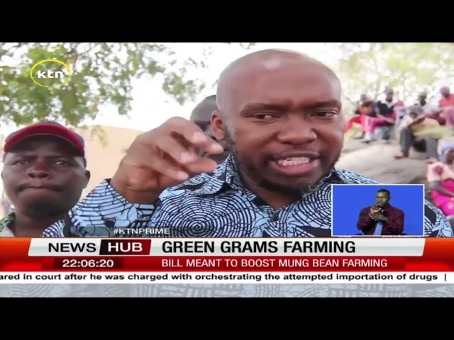 ⁣Mung Bean Bill sponsored by Kitui Senator aims to boost green grams farming