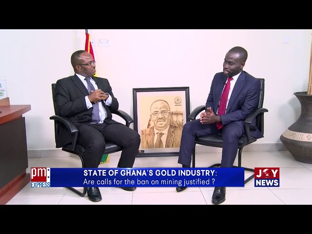 State of Ghana's Gold Industry: Are calls for the ban on mining justified?  | PM Business