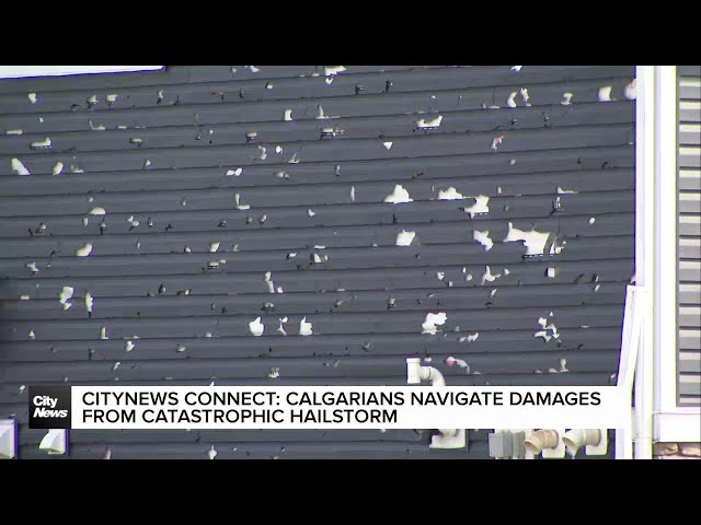 ⁣CityNews Connect: Calgarians navigate damage from catastrophic hailstorm