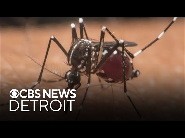 ⁣Genesee County confirms third human case of West Nile virus