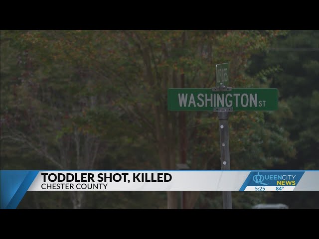 ⁣Toddler shot with ‘unsecured firearm’ dies in Chester Co.: PD