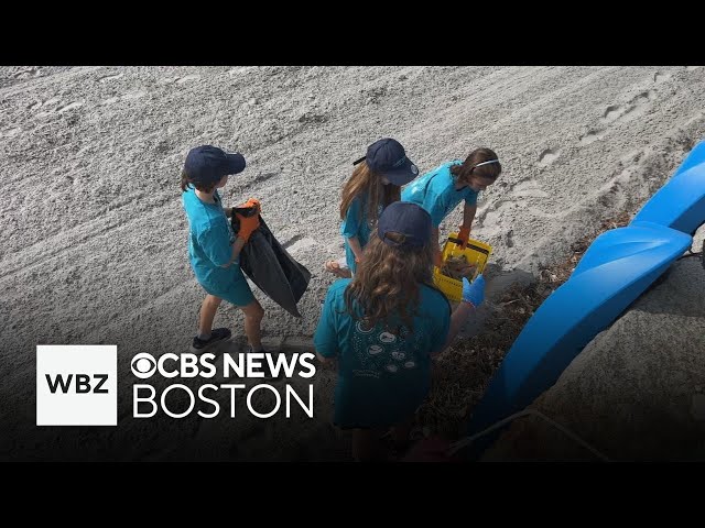 ⁣WBZ-TV's Eric Fisher joins kids in cleaning up Tudor Beach in Nahant