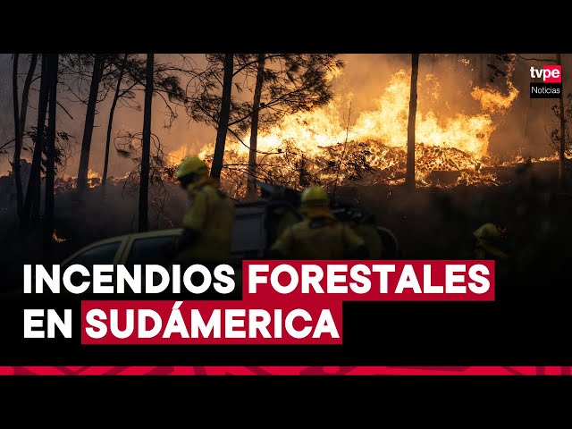 ⁣Incendios forestales de gran intensidad se registran en varios países de Sudaméric