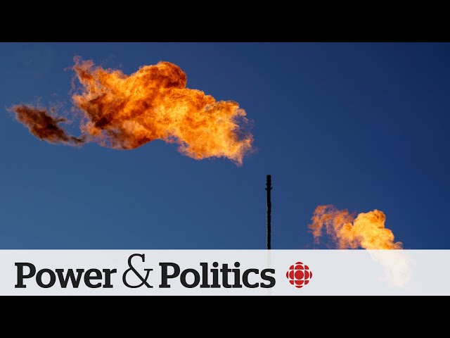 ⁣Emissions are back in decline. Can that continue without the carbon tax? | Power & Politics